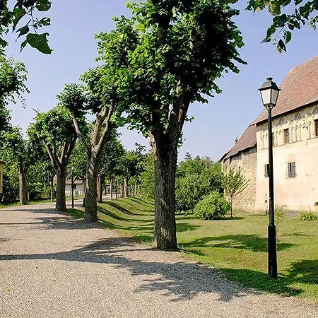 De La Muse Holiday home Rouffach