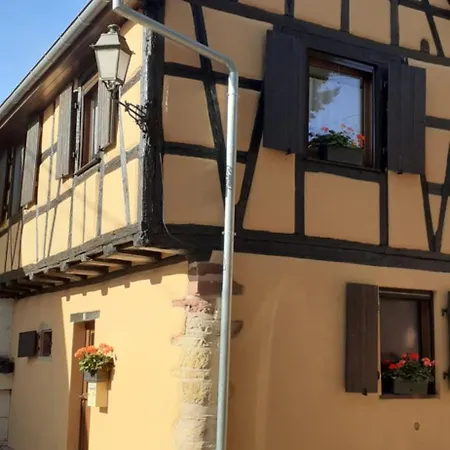 Coup De Coeur En Alsace ! Proche Colmar Et Sur La Route Des Vins, De La Muse Avec Son Jardin * Rouffach