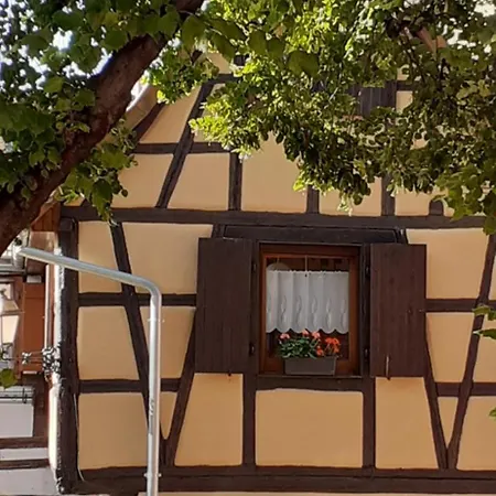 度假居 Coup De Coeur En Alsace ! Proche Colmar Et Sur La Route Des Vins, De La Muse Avec Son Jardin 鲁法克