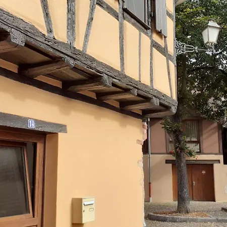 펜션 Coup De Coeur En Alsace ! Proche Colmar Et Sur La Route Des Vins, De La Muse Avec Son Jardin 후파슈