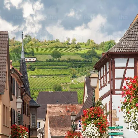 Coup De Coeur En Alsace ! Proche Colmar Et Sur La Route Des Vins, De La Muse Avec Son Jardin * 후파슈