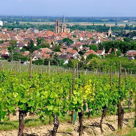 De La Muse Holiday home Rouffach