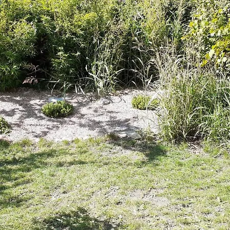 Ideal Sejour Alsace ! Muse Avec Son Jardin, Proche Colmar Casa de Férias Rouffach