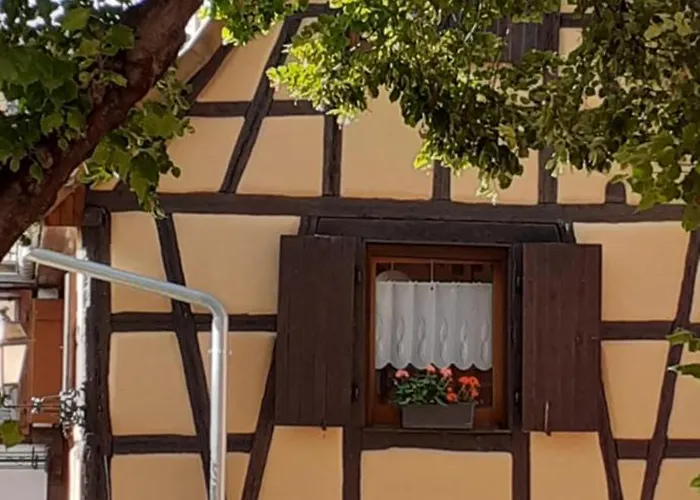 בית נופש Coup De Coeur En Alsace ! Proche Colmar Et Sur La Route Des Vins, De La Muse Avec Son Jardin רופאק