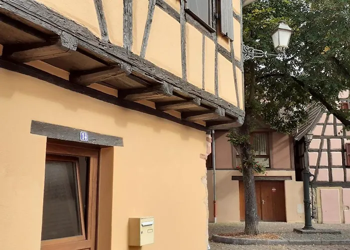 בית נופש Coup De Coeur En Alsace ! Proche Colmar Et Sur La Route Des Vins, De La Muse Avec Son Jardin רופאק