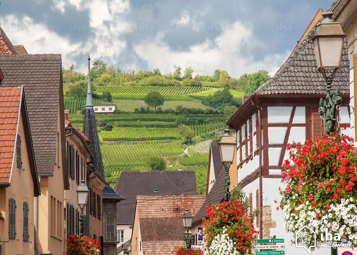 Coup De Coeur En Alsace ! Proche Colmar Et Sur La Route Des Vins, De La Muse Avec Son Jardin * רופאק